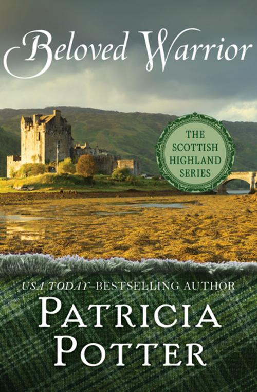 Cover of the book Beloved Warrior by Patricia Potter, Open Road Media