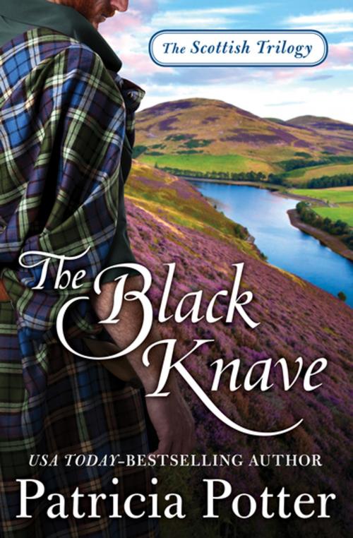 Cover of the book The Black Knave by Patricia Potter, Open Road Media