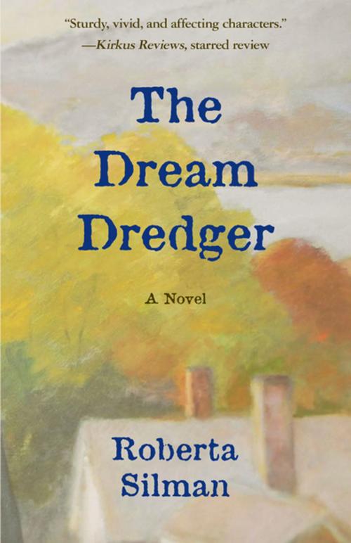 Cover of the book The Dream Dredger by Roberta Silman, Open Road Distribution