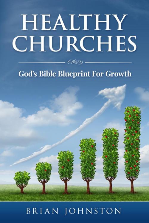 Cover of the book Healthy Churches - God's Bible Blueprint For Growth by Brian Johnston, Hayes Press
