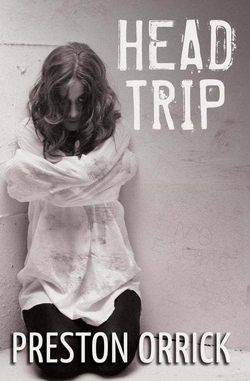 Cover of the book Head Trip by Preston Orrick, Preston Orrick