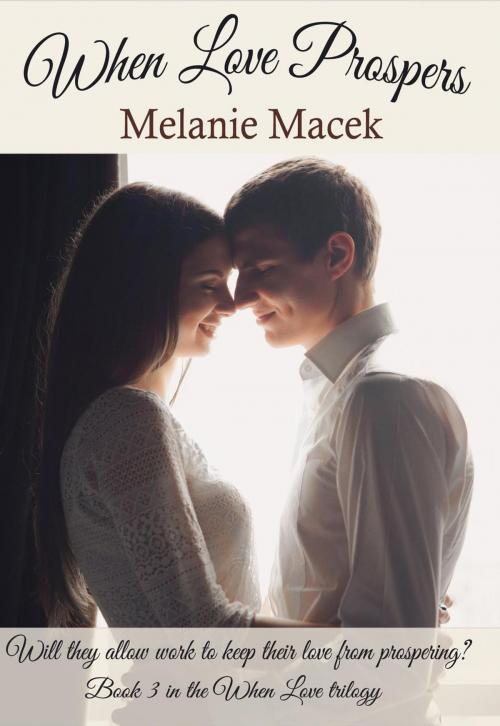 Cover of the book When Love Prospers by Melanie Macek, Melanie Macek