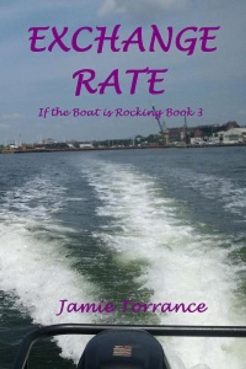 Cover of the book Exchange Rate by Jamie Torrance, Jamie Torrance