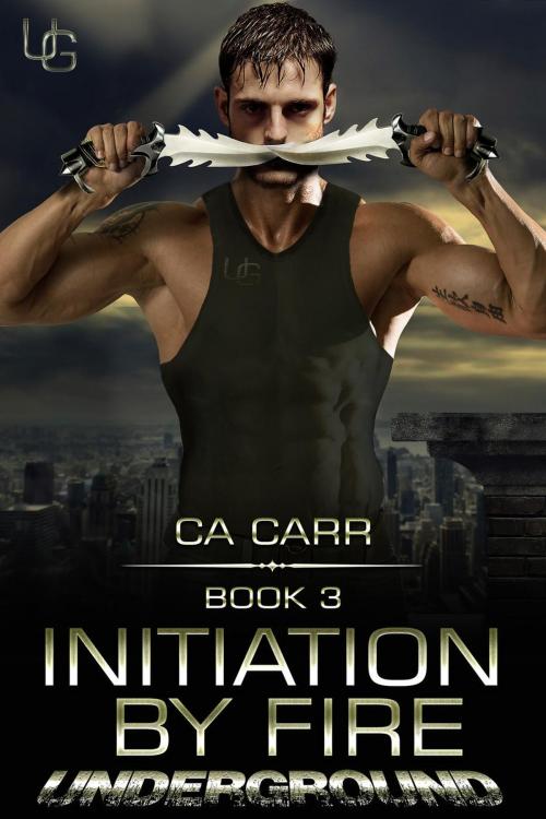 Cover of the book Initiation by Fire by CA Carr, C-Squared Publishing LLC