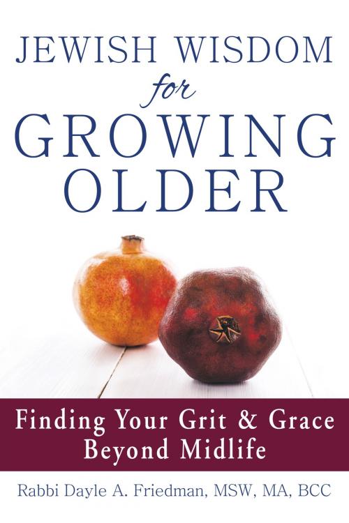 Cover of the book Jewish Wisdom for Growing Older by Rabbi Dayle A. Friedman, Jewish Lights Publishing