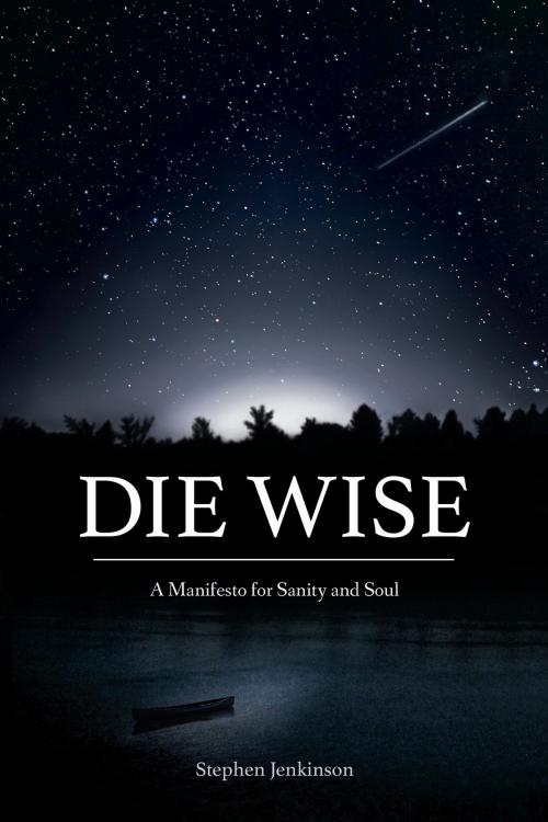 Cover of the book Die Wise by Stephen Jenkinson, North Atlantic Books