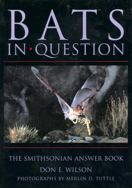 Cover of the book Bats in Question by Don E. Wilson, Smithsonian