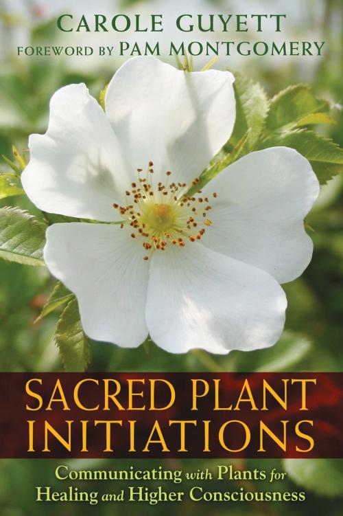 Cover of the book Sacred Plant Initiations by Carole Guyett, Inner Traditions/Bear & Company