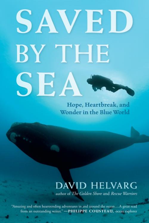 Cover of the book Saved by the Sea by David Helvarg, New World Library