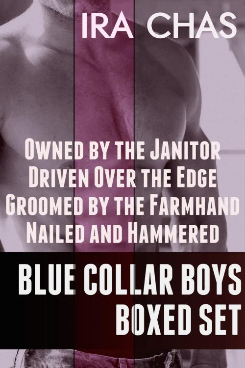 Cover of the book Blue Collar Boys Boxed Set by Ira Chas, Excessica