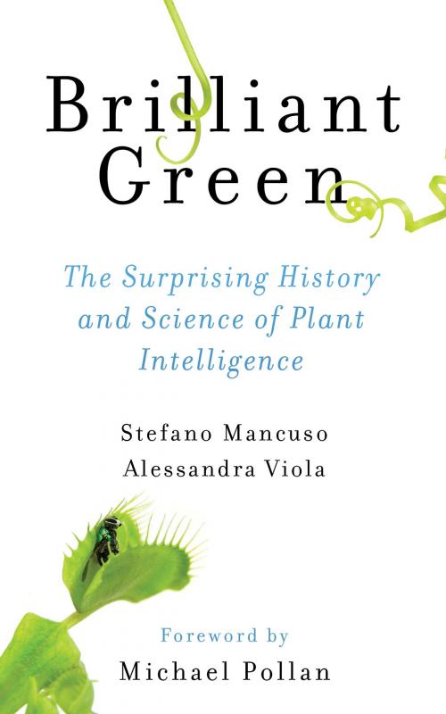 Cover of the book Brilliant Green by Stefano Mancuso, Alessandra Viola, Island Press