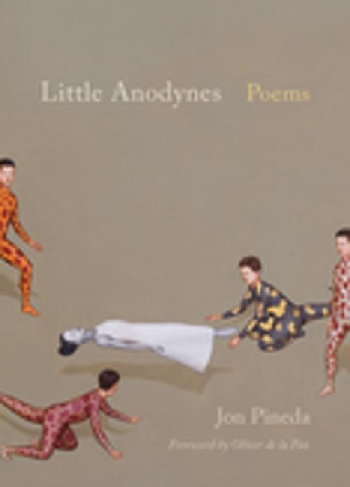 Cover of the book Little Anodynes by Jon Pineda, University of South Carolina Press