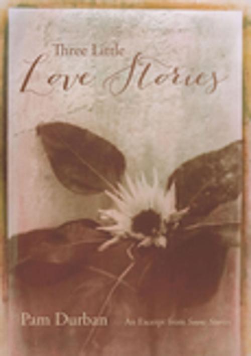Cover of the book Three Little Love Stories by Pam Durban, University of South Carolina Press