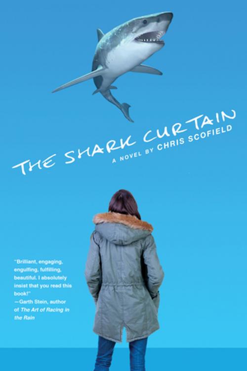 Cover of the book The Shark Curtain by Chris Scofield, Akashic Books