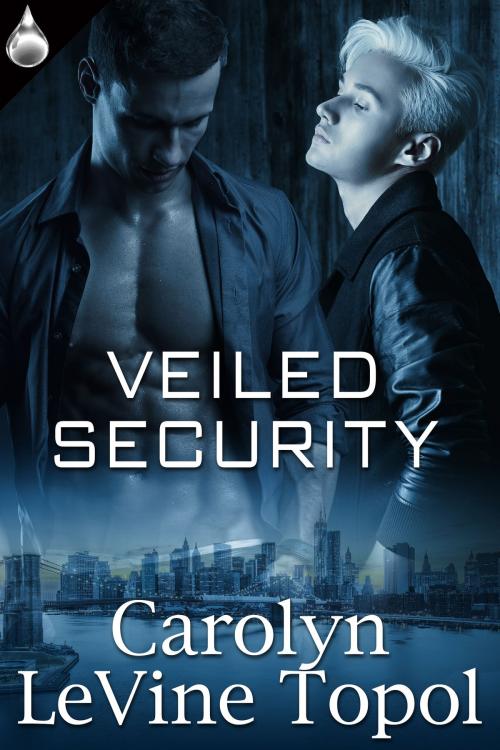 Cover of the book Veiled Security by Carolyn LeVine Topol, Liquid Silver Books