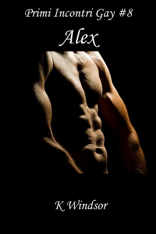 Cover of the book Primi Incontri Gay #8 by K Windsor, Black Serpent Erotica
