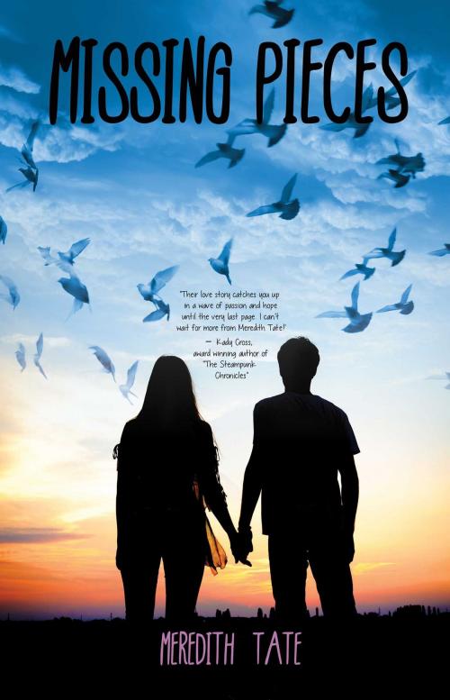Cover of the book Missing Pieces by Meredith Tate, Omnific Publishing