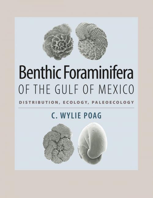 Cover of the book Benthic Foraminifera of the Gulf of Mexico by C. Wylie Poag, Texas A&M University Press
