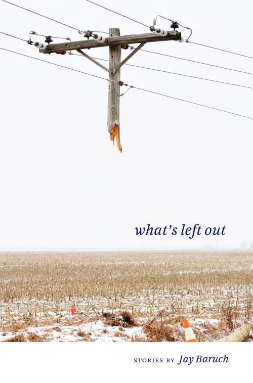 Cover of the book What's Left Out by Jay Baruch, The Kent State University Press