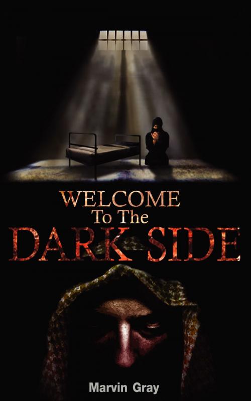 Cover of the book Welcome to the Dark Side by Marvin Gray, booksmango