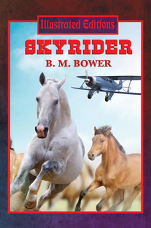 Cover of the book Skyrider (Illustrated Edition) by B. M. Bower, Wilder Publications, Inc.