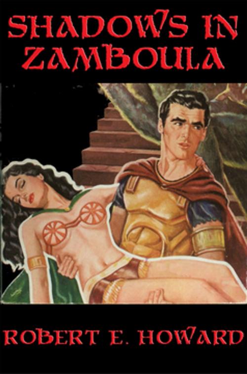 Cover of the book Shadows in Zamboula by Robert E. Howard, Wilder Publications, Inc.