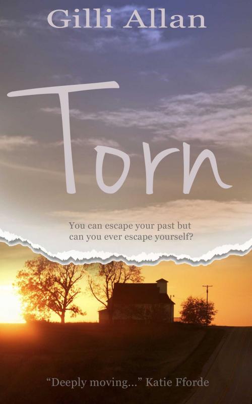 Cover of the book Torn by Gilli Allan, Accent Press