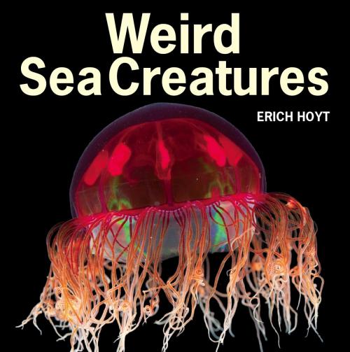 Cover of the book Weird Sea Creatures by Erich Hoyt, Firefly Books
