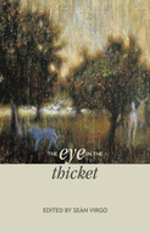 Cover of the book The Eye in the Thicket by , Thistledown Press