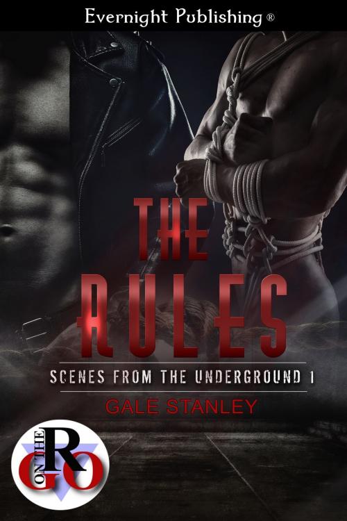 Cover of the book The Rules by Gale Stanley, Evernight Publishing