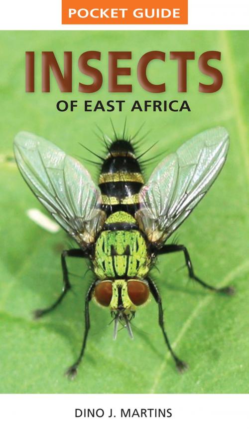 Cover of the book Pocket Guide Insects of East Africa by Dino J. Martins, Penguin Random House South Africa