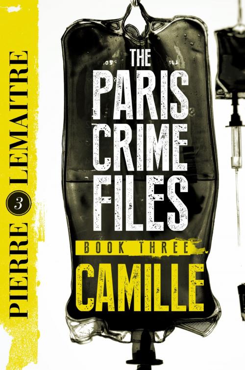 Cover of the book Camille by Pierre Lemaitre, Quercus Publishing