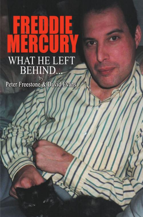 Cover of the book Freddie Mercury - What He Left Behind by David Evans, Peter Freestone, TUSITALA PRESS