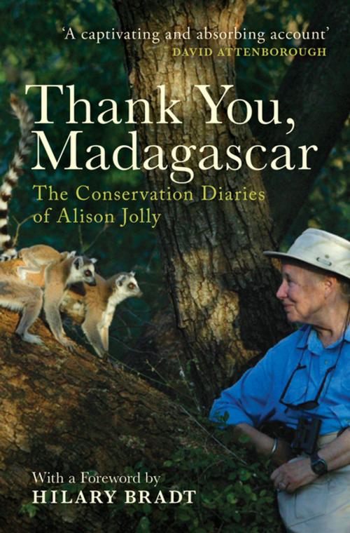 Cover of the book Thank You, Madagascar by Alison Jolly, Zed Books