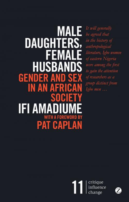 Cover of the book Male Daughters, Female Husbands by Professor Ifi Amadiume, Zed Books