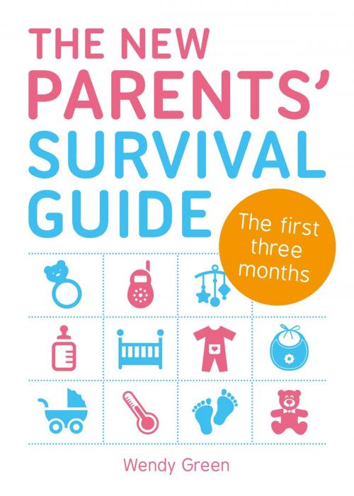 Cover of the book The New Parents' Survival Guide: The First Three Months by Wendy Green, Summersdale Publishers Ltd