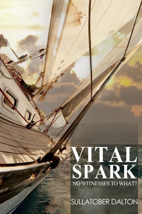 Cover of the book Vital Spark by Sullatober Dalton, Andrews UK
