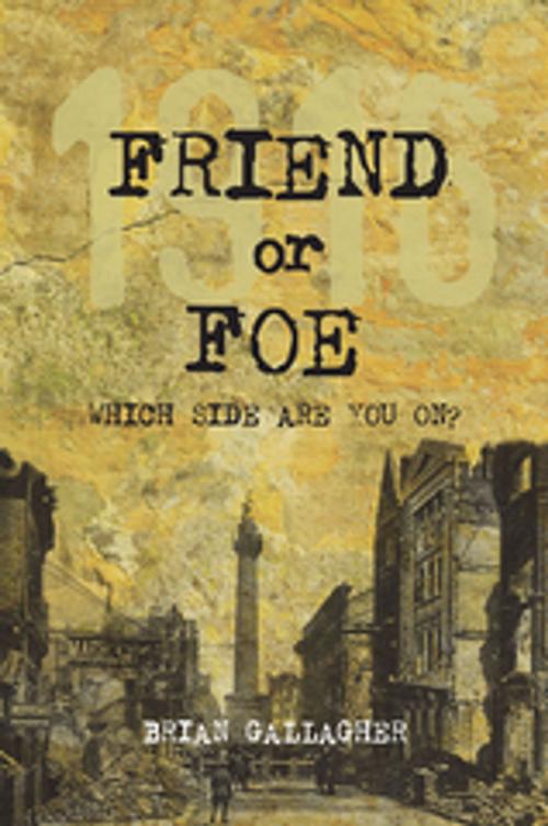 Cover of the book Friend or Foe by Brian Gallagher, The O'Brien Press