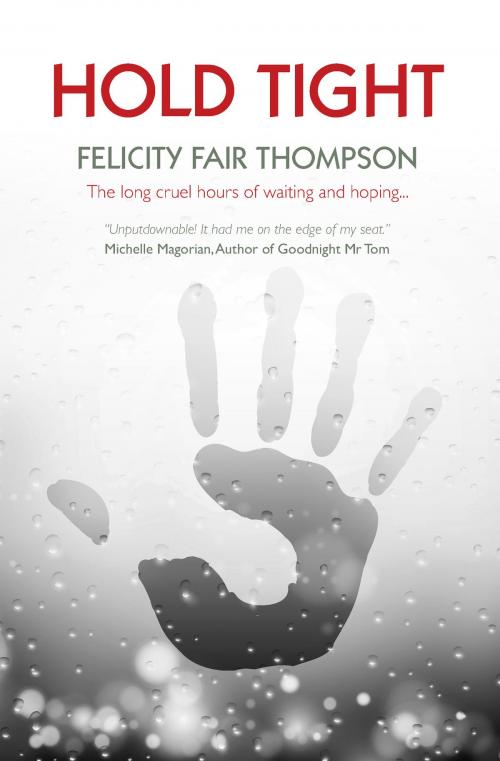 Cover of the book Hold Tight by Felicity Fair Thompson, Amolibros