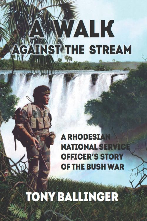 Cover of the book A Walk Against The Stream by Tony Ballinger, Helion and Company