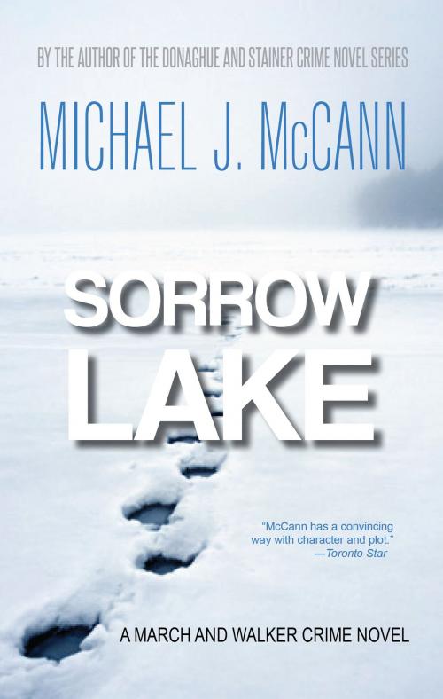 Cover of the book Sorrow Lake by Michael J. McCann, The Plaid Raccoon Press