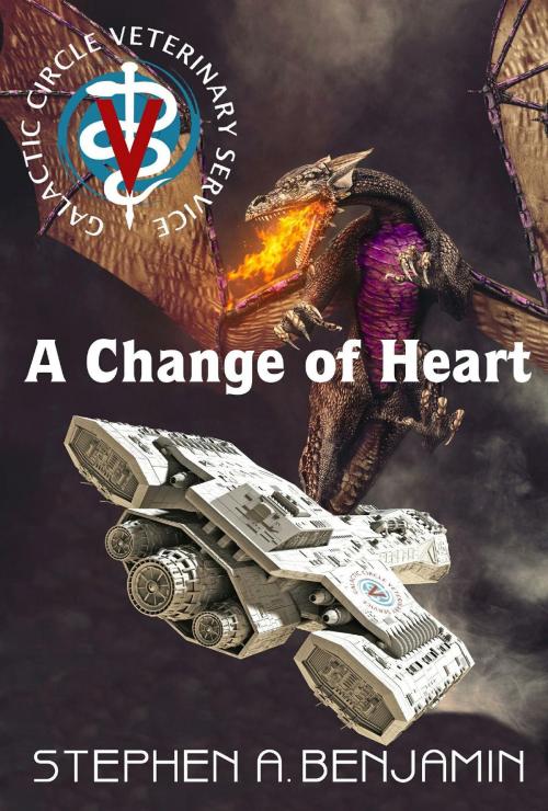 Cover of the book A Change of Heart by Stephen A. Benjamin, TWB Press