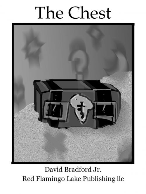 Cover of the book The Chest by David Bradford Jr., Red Flamingo Lake Publishing llc