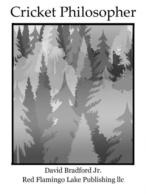 Cover of the book Cricket Philosopher by David Bradford Jr., Red Flamingo Lake Publishing llc