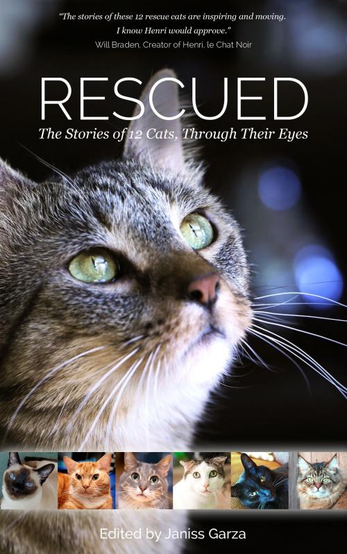 Cover of the book Rescued: The Stories of 12 Cats, Through Their Eyes by Janiss Garza, FitCat Publishing