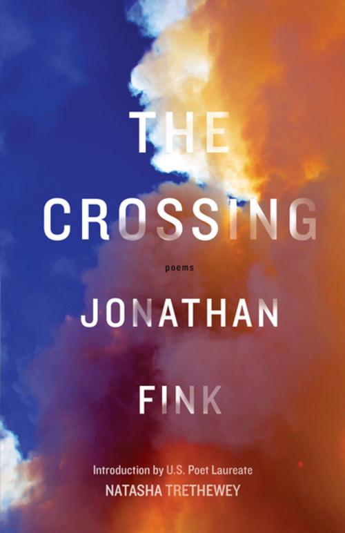 Cover of the book The Crossing by Jonathan Fink, Dzanc Books
