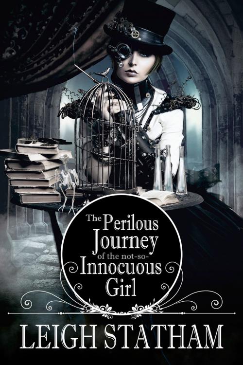 Cover of the book Perilous Journey of the Not-So-Innocuous Girl by Leigh Statham, Month9Books, LLC