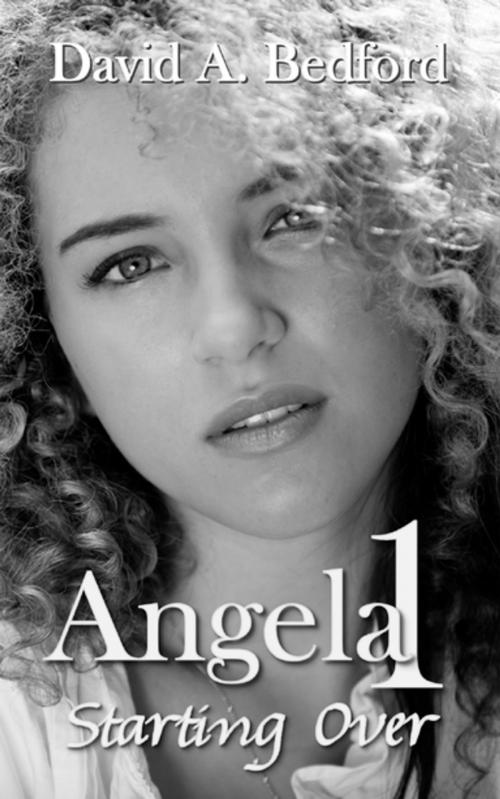Cover of the book Angela 1: Starting Over by David A. Bedford, Progressive Rising Phoenix Press, LLC