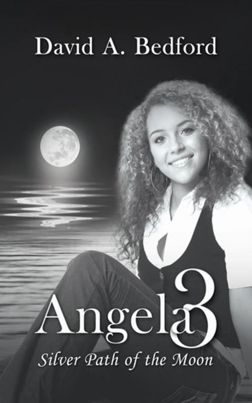 Cover of the book Angela 3: Silver Path of the Moon by David A. Bedford, Progressive Rising Phoenix Press, LLC