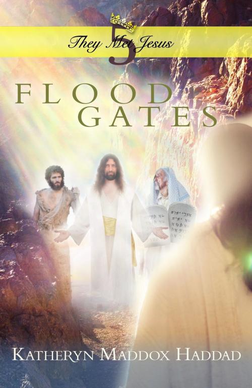Cover of the book Flood Gates by Katheryn Maddox Haddad, Katheryn C. Haddad